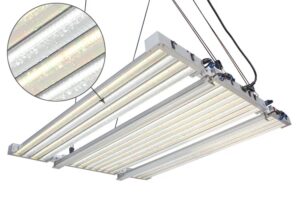 SpiderWise EcoDesign LED Grow Lights system