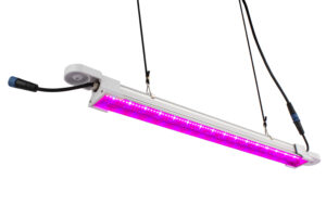 LightWise LED Strip Grow Lights